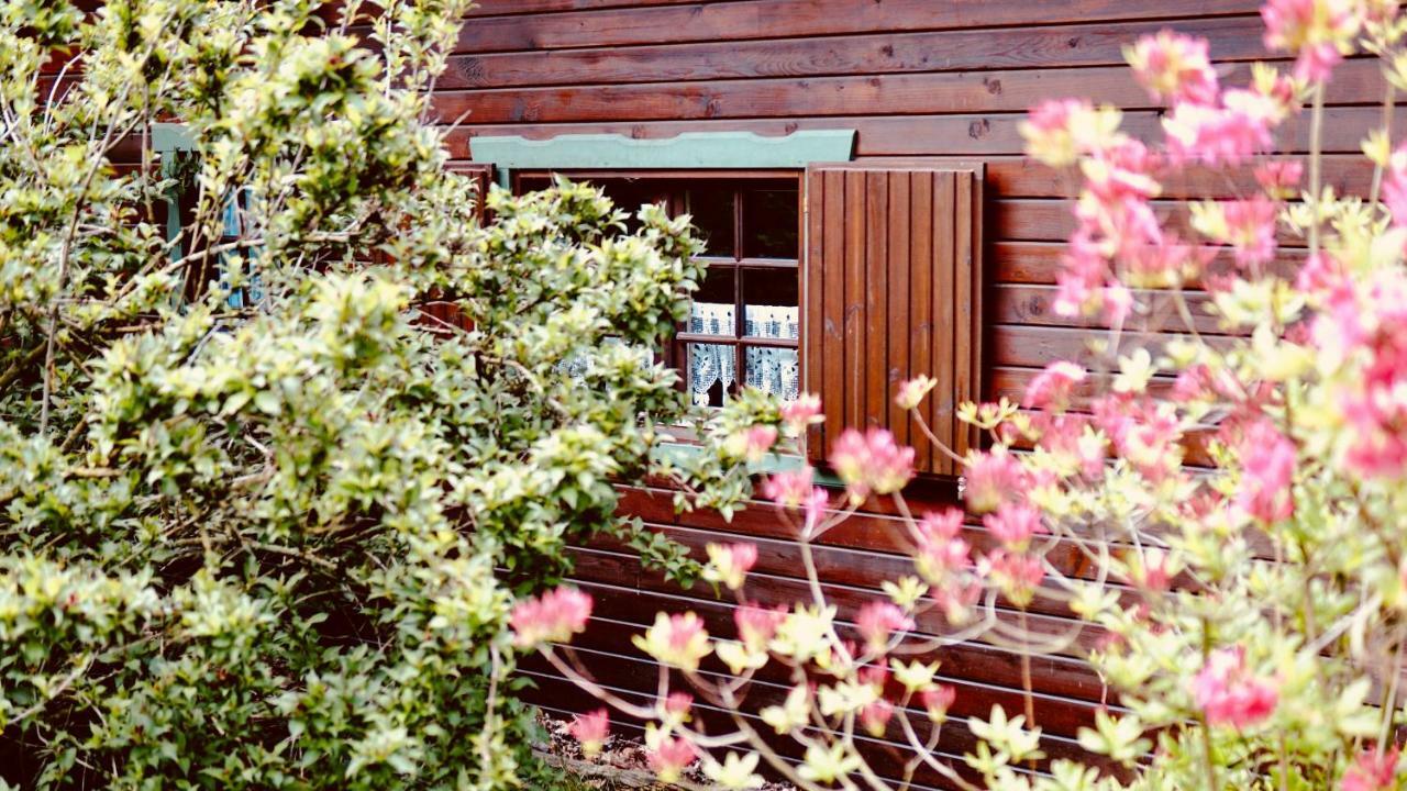 Forsthaus Luchsenburg Hotel Ohorn Luaran gambar